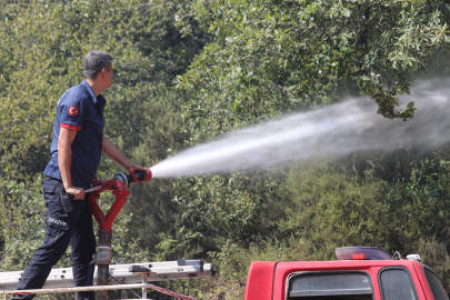 Zonguldak'ta orman yangını: Ekipler seferber oldu!