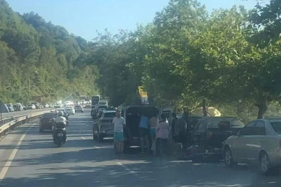 Plajlar mevkiinde kara yoluna araçlarını park ettiler