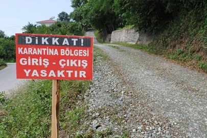 Zonguldak'ta Şap Hastalığı Nedeniyle Karantina!