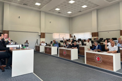 Kokarca böceğiyle mücadelede 74 bin TL’lik bağış