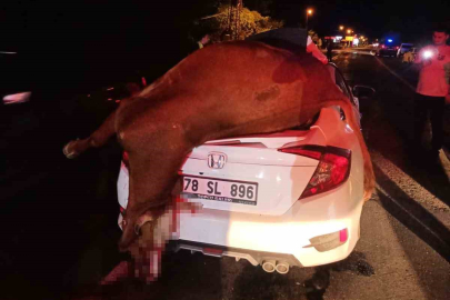 Otomobilin çarptığı inek telef oldu...