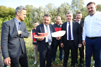 Kartopu Yem Karpuzu tarlasında inceleme!!!