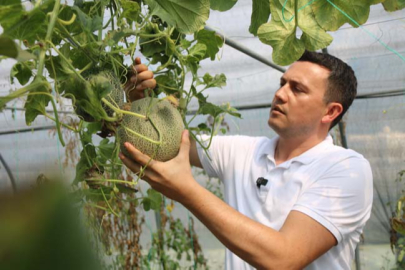 Ata Tohumu Projesi, katlanarak büyüyor