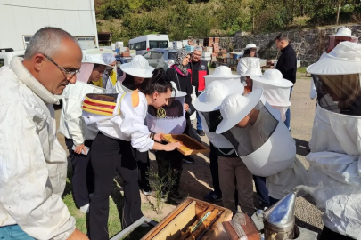 Öğrenciler Arı Yetiştiricileri Birliği'ni ziyaret etti