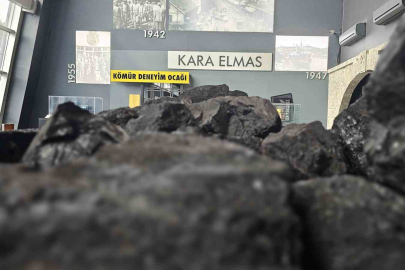 "Okullarda çocuklara kömür temas ettirilmeli"