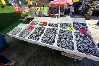 Zonguldak’taki Balıkçılara Devlet Desteği!!!