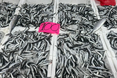 Zonguldak’ta hamsinin fiyatı 100 liraya düştü!