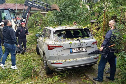 Park halindeki otomobilin üzerine ağaç devrildi!
