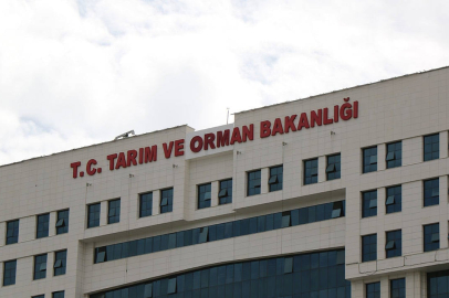 Tarım ve Orman Bakanlığı 200 sözleşmeli personel alacak!
