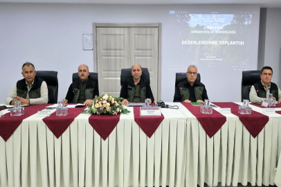 Ormanları korumak namus borcumuz ...