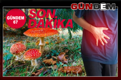 Mantar zehirlenmesi vakaları artıyor: aynı aileden 7 kişi hastaneye kaldırıldı!