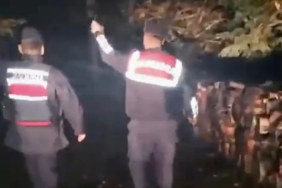 Mantar toplamaya gittiler! kayboldular ...