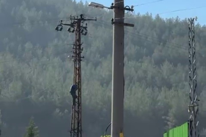 Trafik cezasına öfkelendi direğe çıktı!