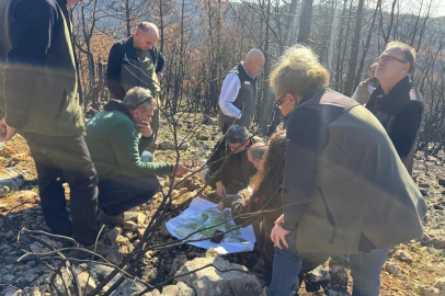 Yanan Alanlar İncelendi!