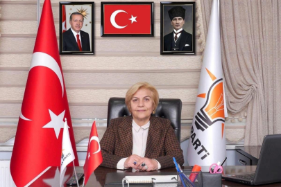 Yılmaz: 'Hayır' Oyu Köylünün Memnuniyetsizliğindendir!