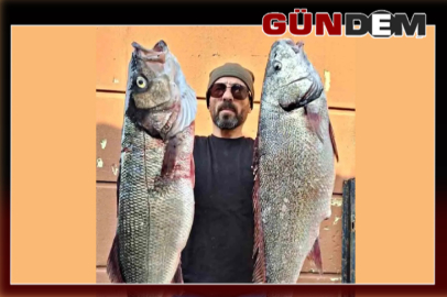Kandilli açıklarında dev balıklar yakalandı!
