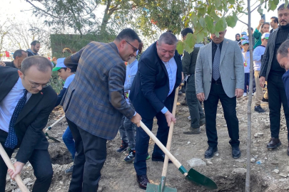 ALAPLI'DA FİDANLAR DOĞA İLE BULUŞTU.