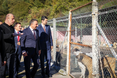 Vali Osman Hacıbektaşoğlu hayvan barınağını inceledi!
