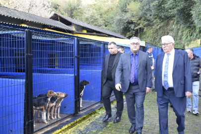 KDZ. EREĞLİ BELEDİYESİ, SOKAK HAYVANLARI BARINMA EVİ’NİN KAPASİTESİNİ ARTIRIYOR