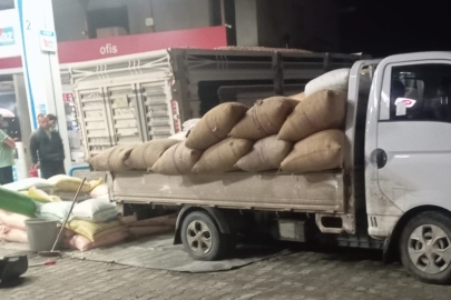 Yılbaşına günler kala fındık fiyatları yükselişe geçti!