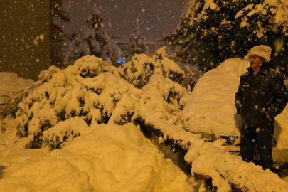 Çam ağacı park halindeki iki aracın üzerine devrildi!