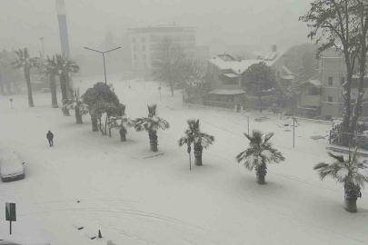 Düzce yeni yıla karla girdi!