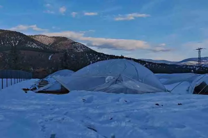 Kar yükü seraları çökertti!