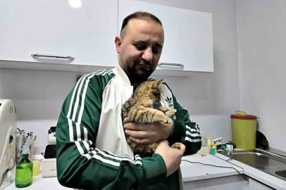 Veteriner Hekim Gökmen Koç: “Aracı çalıştırmadan önce kaputa vurun”