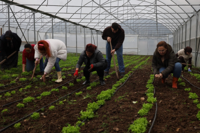 Kadın ve gençler tarıma kazandırılıyor