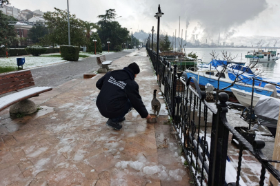 KDZ. EREĞLİ BELEDİYESİ SOKAK HAYVANLARINA SAHİP ÇIKIYOR