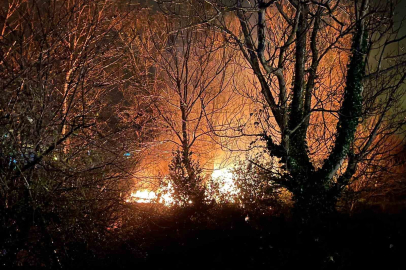 Ağaçlık alanda çıkan yangın korkuttu!