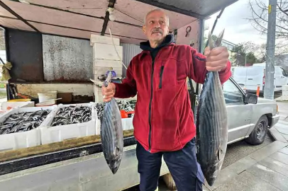 Karadeniz’de tutulan 4 kiloluk torik görenleri şaşırttı!