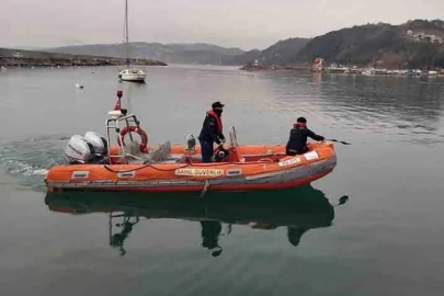Bir haftadır limanda mahsur kalan yunusu ekipler kurtardı!