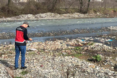 Onlarca tavuk ölüsü bulundu!