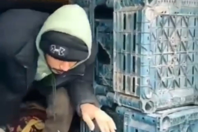 Düzce’de 13 düzensiz göçmen yakalandı!!!