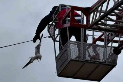 Tellerde mahsur kalan martıya itfaiyeden yardım eli