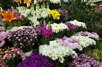 14 Şubat çiçekçileri umutlandırmadı, satışlar zayıf