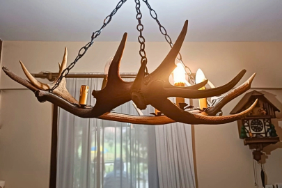 Tekirdağ kaçak tahnit ve trofe operasyonu... 40 parça ele geçirildi