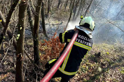 Kozlu’da anız yangını korkuttu!