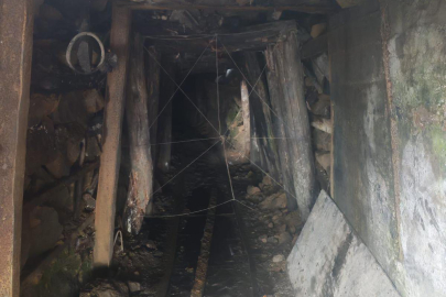 Zonguldak'ta 3 kaçak ocak imha edildi