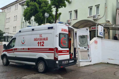 Alaplı'da  mantar zehirlenmesi: 70 yaşındaki kadın Ankara’ya sevk edildi