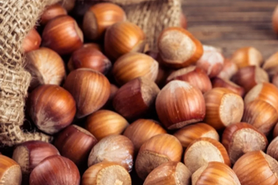 TMO'DAN FINDIK AÇIKLAMASI!