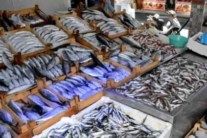 Karadeniz'de avlanan hamsi, palamut, mezgit ve lüferde mikroplastik tespit edildi!