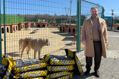Kazandığı davanın tazminatıyla sokak hayvanlarını sevindirdi!