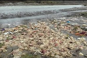 TAVUK ÇİFTLİĞİNE CEZA YAĞDI…