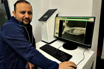 Zonguldak’ta nefes alamayan kedi ameliyatla sağlığına kavuştu