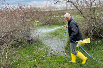 Enez'de larva ilaçlaması başladı