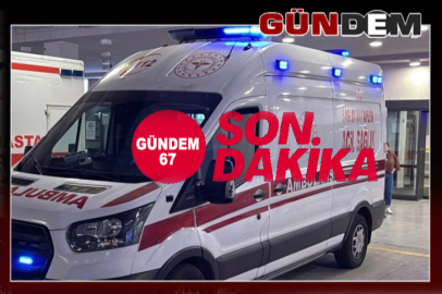 Zonguldak’ta Çayırlık Alanda Baygın Bulundu!