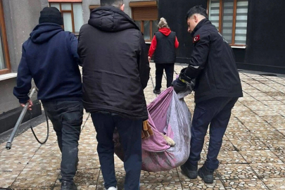 Köpek kurtarma operasyonu!