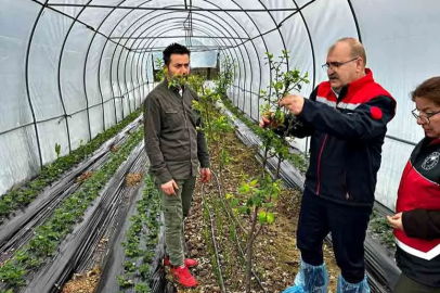 İl Müdürü Nihat Ağan Üretim Alanlarını İnceledi